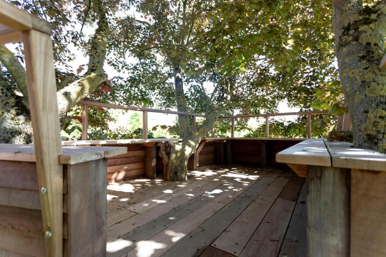 Enjoytoday Vakantiewoning 45 Oudenaarde Exteriör bild